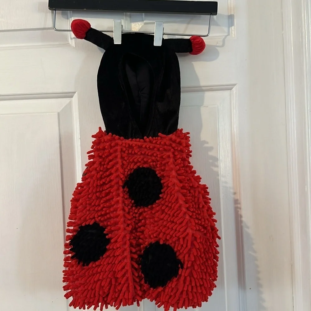 Authentic Kids Baby Ladybug Halloween Costume Size 6 To 9 Mths